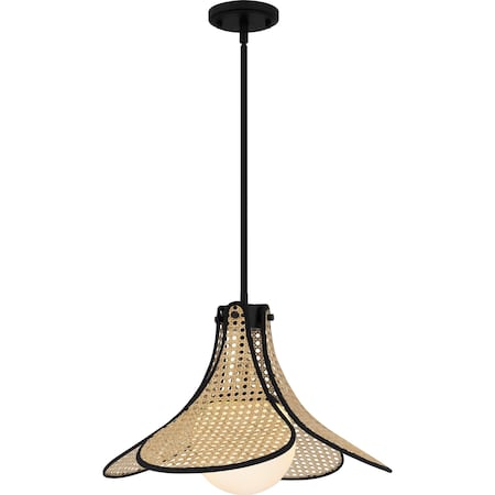 Quoizel Pendant Pendant 1 Light Matte Black QP6207MBK